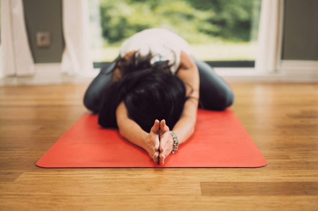 Hatha Yoga Praxis